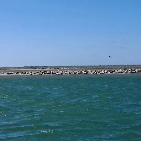 Casa vacanze 4 Star In